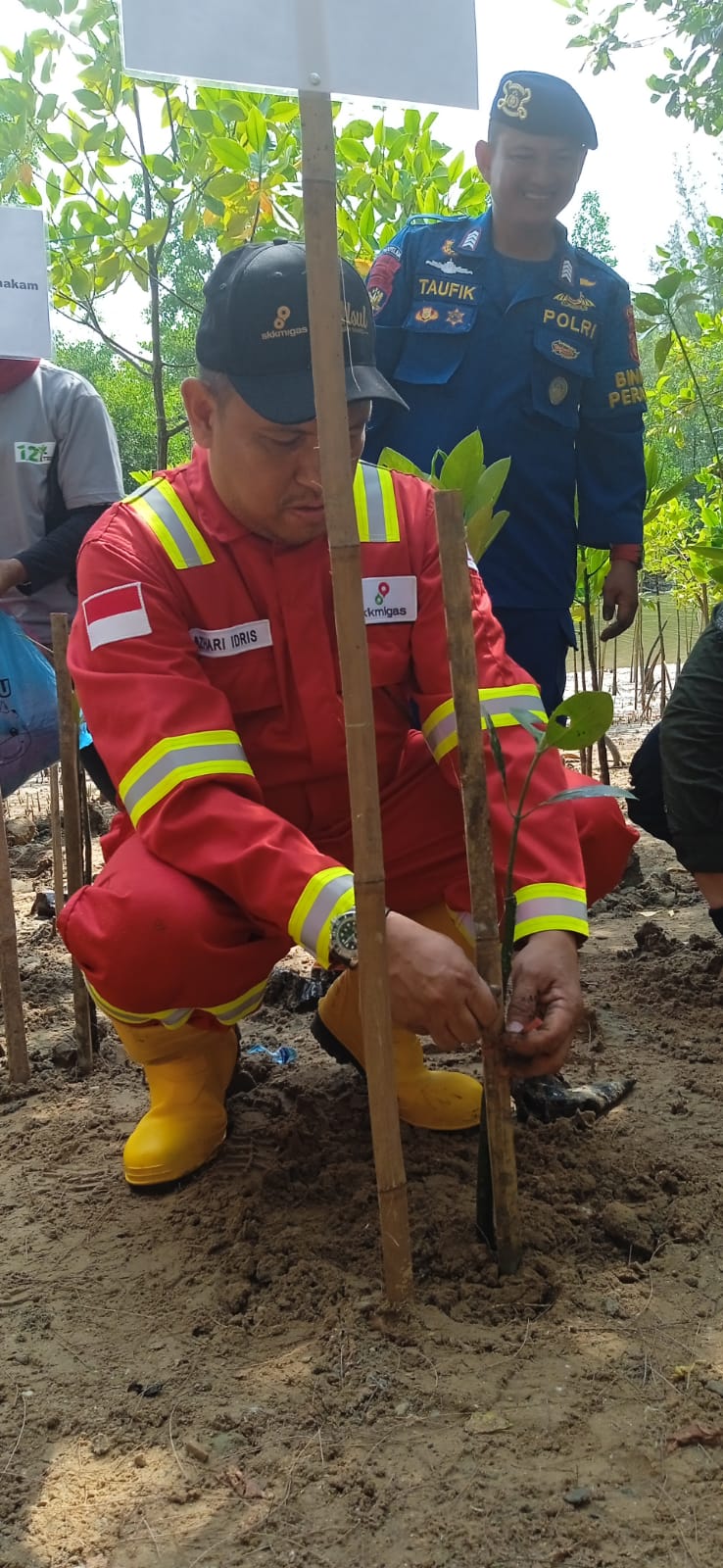 SKK Migas Dan K3S Gelar Penanaman Mangrove Di DAS Sungai Lamaru