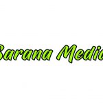 penamedia