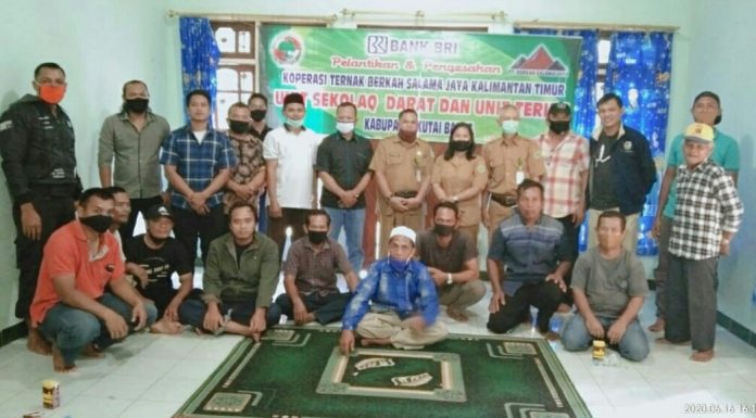Koperasi Ternak Berkah Salama Jaya Kubar, Kembali Buka 2 Unit Baru