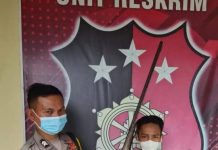 Sadar Hukum, Vori Yansah Serahkan Senpira ke Polsek Muara Beliti