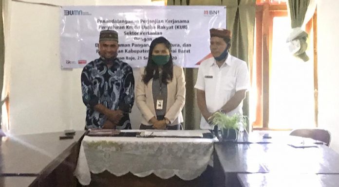 Kades Sumardi : KUR Setidaknya Dapat Membantu Petani Dari Jeratan Rentenir Yang Ada di Desa.