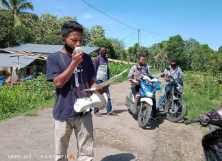 Adrianus Hasri : Akibat Virus ASF, Peternak Babi di Desa Liang Sola Resah