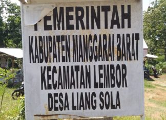 Hindari Kecelakaan Persalinan, Desa Liang Sola Bersama Puskesmas Wae Nakeng Gelar Sosialisasi P4K