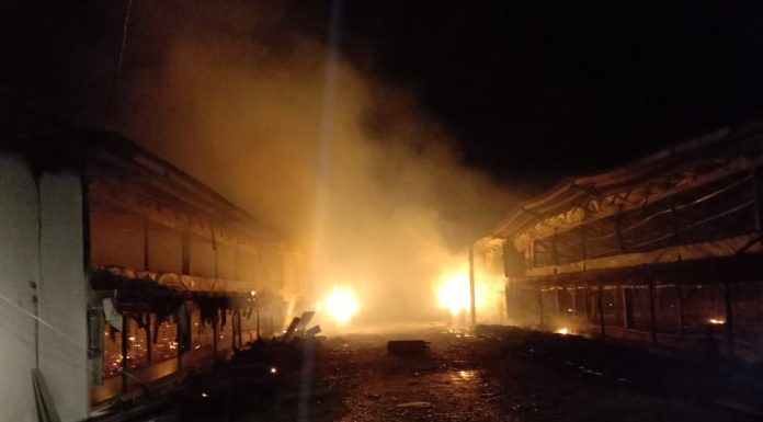 Tabung Gas Meledak, Kandang PT Leong Ayam Satu Primadona Dilalap Api