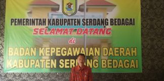 77 Penyuluh Pertanian dan 84 Guru Honorer Lulus Seleksi PPPK, Ini Kata BKD