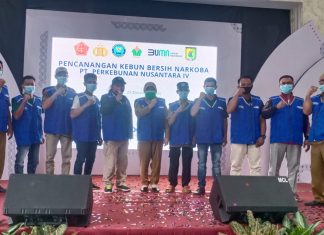 BNNK dan PTPN IV Adolina Sergai Canangkan Kebun Bersinar