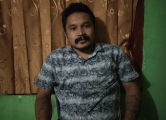 500 Ekor Babi Mati Diserang Virus ASF, Warga: Pemkab Manggarai Tolong Kami