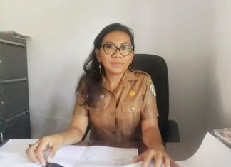 Theresia P. Asmon : Hentikan Lalulintas Babi dari Luar