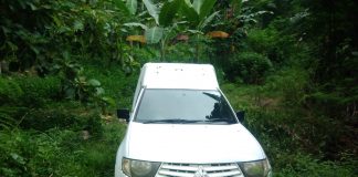 Kasus Ambulance di Kebun, Kadiskes MaTim: Itu Mobil Dinas Operasional Bukan Ambulance