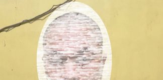 Miliki 4,63 Gram Diduga Sabu, JF Diangkut Satresnarkoba Polresta Palangka Raya