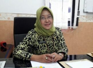 Kasus DBD di Balikpapan Mulai Meningkat, Andi Sri: Kasus Tertinggi Ada di Balsel