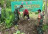 Tanam Bibit Jengkol dan Jambu Mete, Kodim 0726/Sukoharjo Giatkan Penghijauan di Sukoharjo