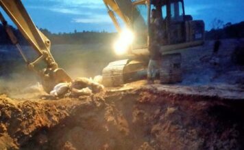 Ditpolairud Polda Kaltim Gagalkan Pengiriman 2.200 Kg Daging Babi Tanpa Sertifikat Kesehatan