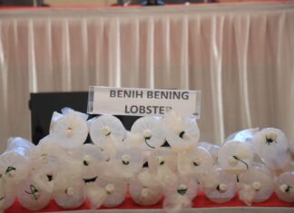 Ditpolairud Polda Lampung Gagalkan Penyelundupan 149.400 Benih Lobster, Selamatkan Rp37,3 Miliar Potensi Kerugian Negara