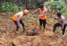 Tim K-9 Polda Jateng Berhasil Temukan Jenazah Bayi 5 Bulan yang Tertimbun Tanah Longsor