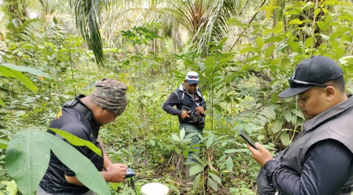 Semangat Ramadhan, PLN UIP KLT dan Otoritas Bandara Bersinergi Pastikan Proyek Infrastruktur Ketenagalistrikan Penuhi Standar Keamanan Area Penerbangan