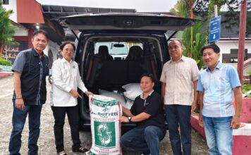 Dukung Budidaya Ikan dan Seni Tradisional, Nelly Turuallo Serahkan Bantuan untuk Jemaat GPIB Bukit Sion