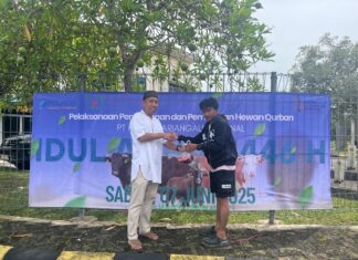 PT KKT Salurkan 7 Ekor Sapi Kurban ke Warga, Karyawan, dan Panti Asuhan di Balikpapan