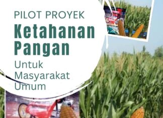 PPM Balikpapan Garap Lahan Tidur 30 Hektar Jadi Proyek Percontohan Ketahanan Pangan