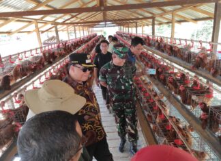 Pemkot Balikpapan Dorong Optimalisasi Lahan Pertanian Untuk Perkuat Ketahanan Pangan, Wawali Sambangi Balikpapan Timur