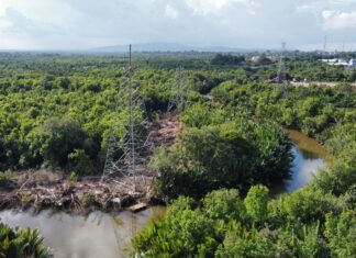 Amankan Aset Negara! PLN UIP KLT Perkuat Legalitas Tapak SUTT 150 kV di Kalimantan Selatan