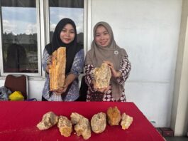 Balikpapan Lepas Ekspor Perdana Damar Batu ke Sri Lanka melalui Terminal KKT