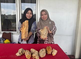 Balikpapan Lepas Ekspor Perdana Damar Batu ke Sri Lanka melalui Terminal KKT