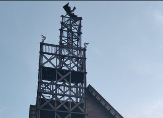 Menghabiskan Malam Minggu di Citra Niaga Samarinda